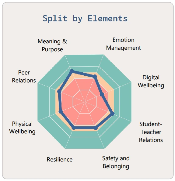 Breakdown of Student Wellbeing Elements Measured in School Survey